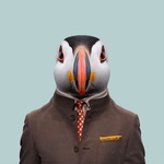 professionalpuffin