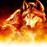 fire wolf