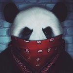 pandaru4bix4