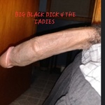 monsterdick336