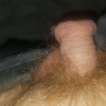 cmylittledick