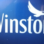 winston studio