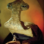 momaw nadon